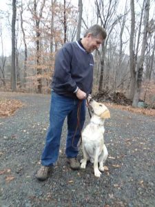 dog-training-triad-nc